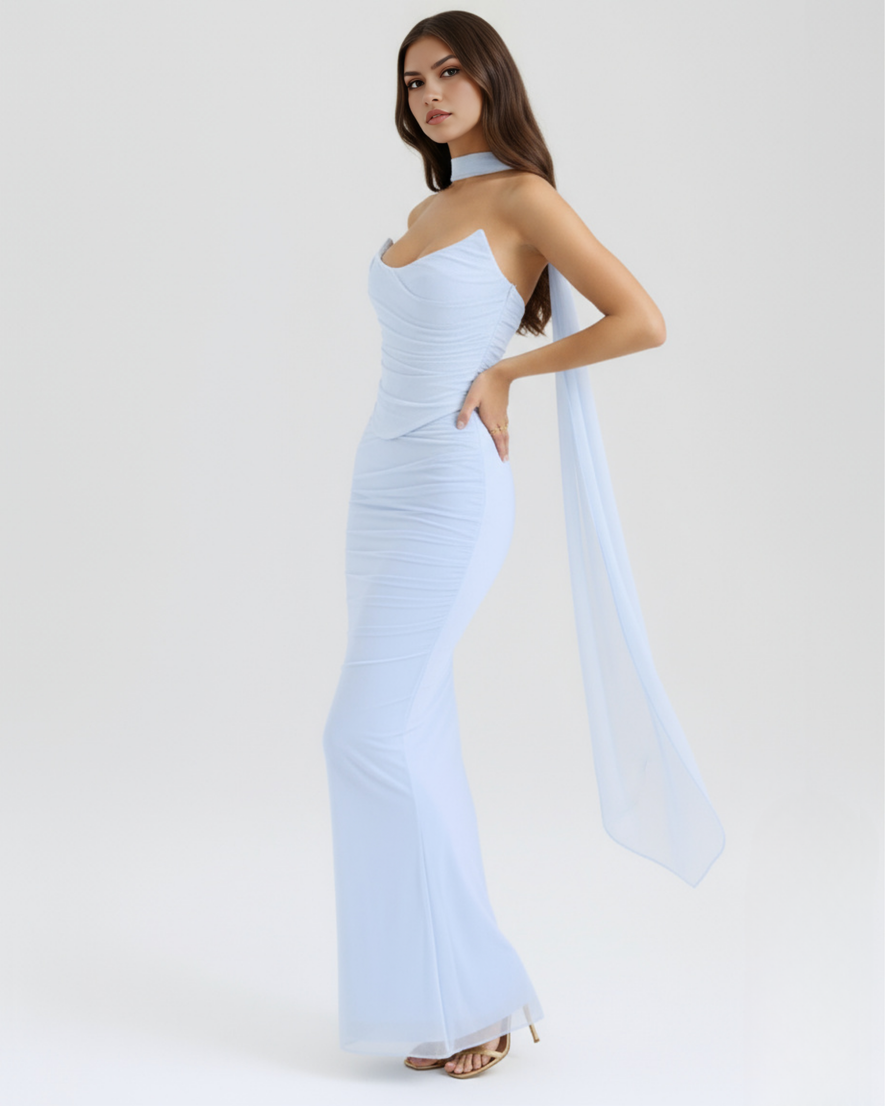 Malu Mesh Fitted Maxi Evening Dress - Black